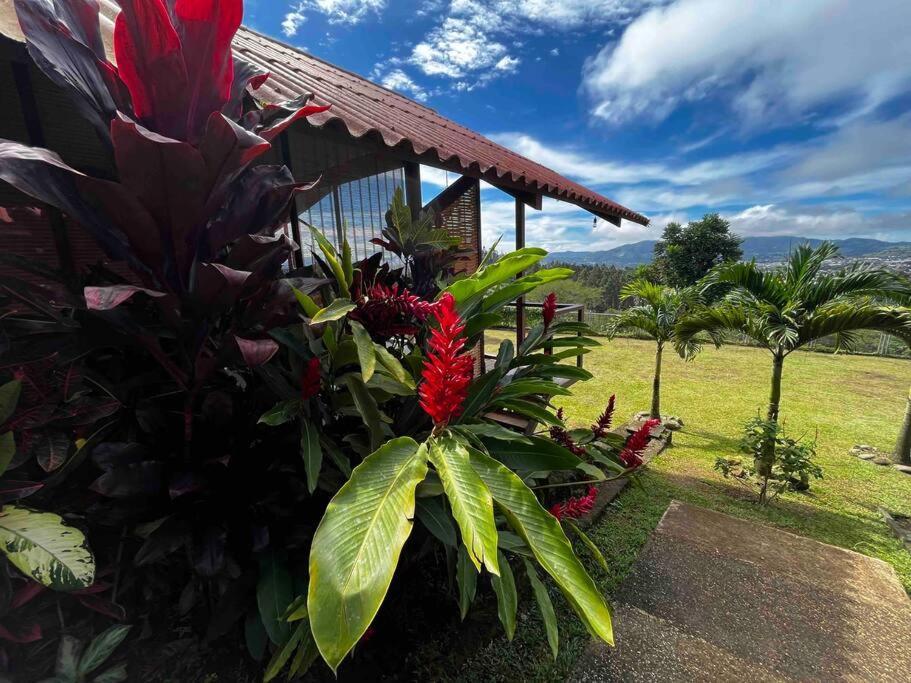 Chalet Zen Bella Vista San Juan  Exterior photo